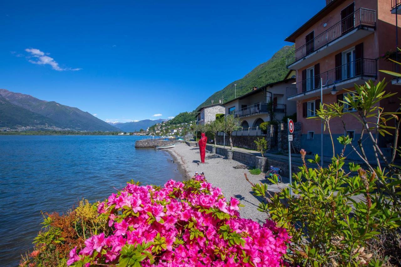 Residenza La Serenata Cavigliano Eksteriør bilde